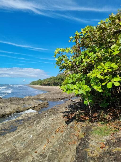 Villa Amor Del Mar With Breathtaking View Of Ocean & Jungle Dominical Exterior foto